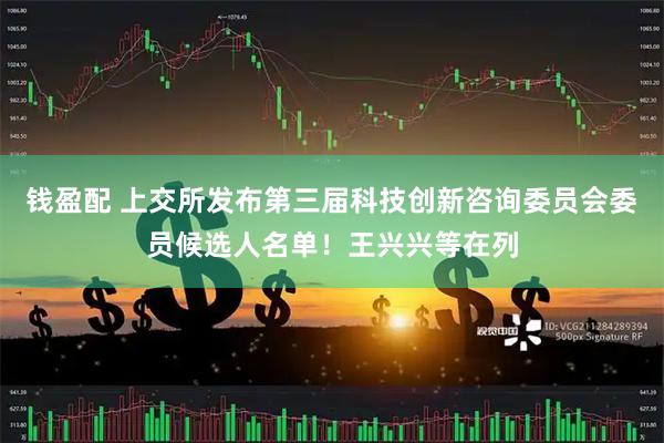 钱盈配 上交所发布第三届科技创新咨询委员会委员候选人名单！王兴兴等在列