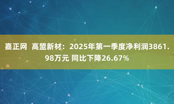 嘉正网  高盟新材：2025年第一季度净利润3861.98万元 同比下降26.67%