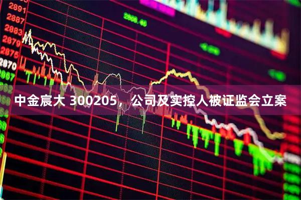 中金宸大 300205，公司及实控人被证监会立案