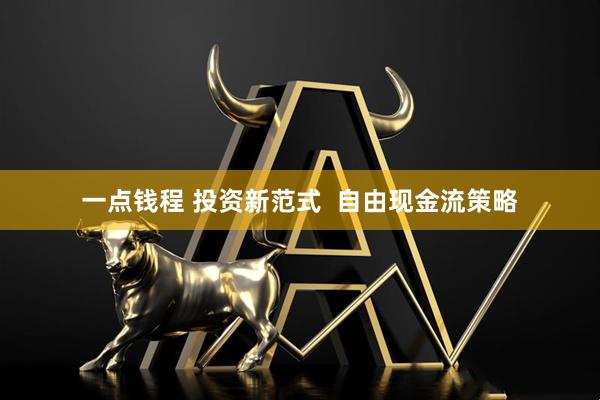 一点钱程 投资新范式  自由现金流策略