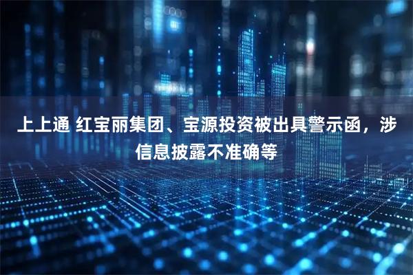 上上通 红宝丽集团、宝源投资被出具警示函，涉信息披露不准确等
