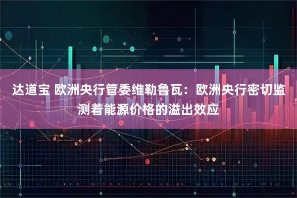 达道宝 欧洲央行管委维勒鲁瓦：欧洲央行密切监测着能源价格的溢出效应