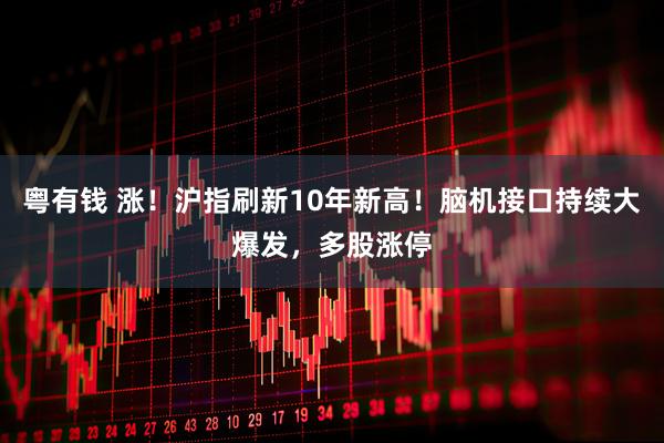 粤有钱 涨！沪指刷新10年新高！脑机接口持续大爆发，多股涨停